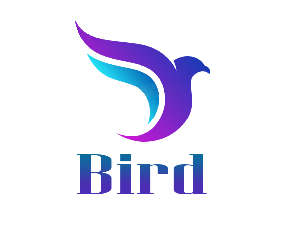 بيرد تكنولوجي